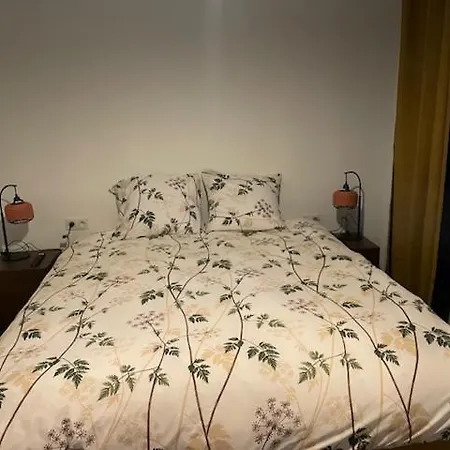 Appartamento House *